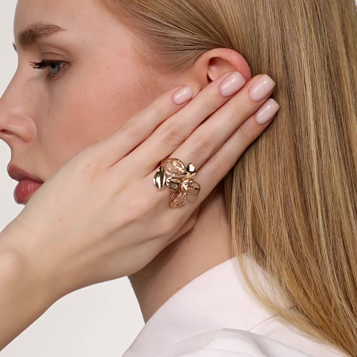 Золотое кольцо