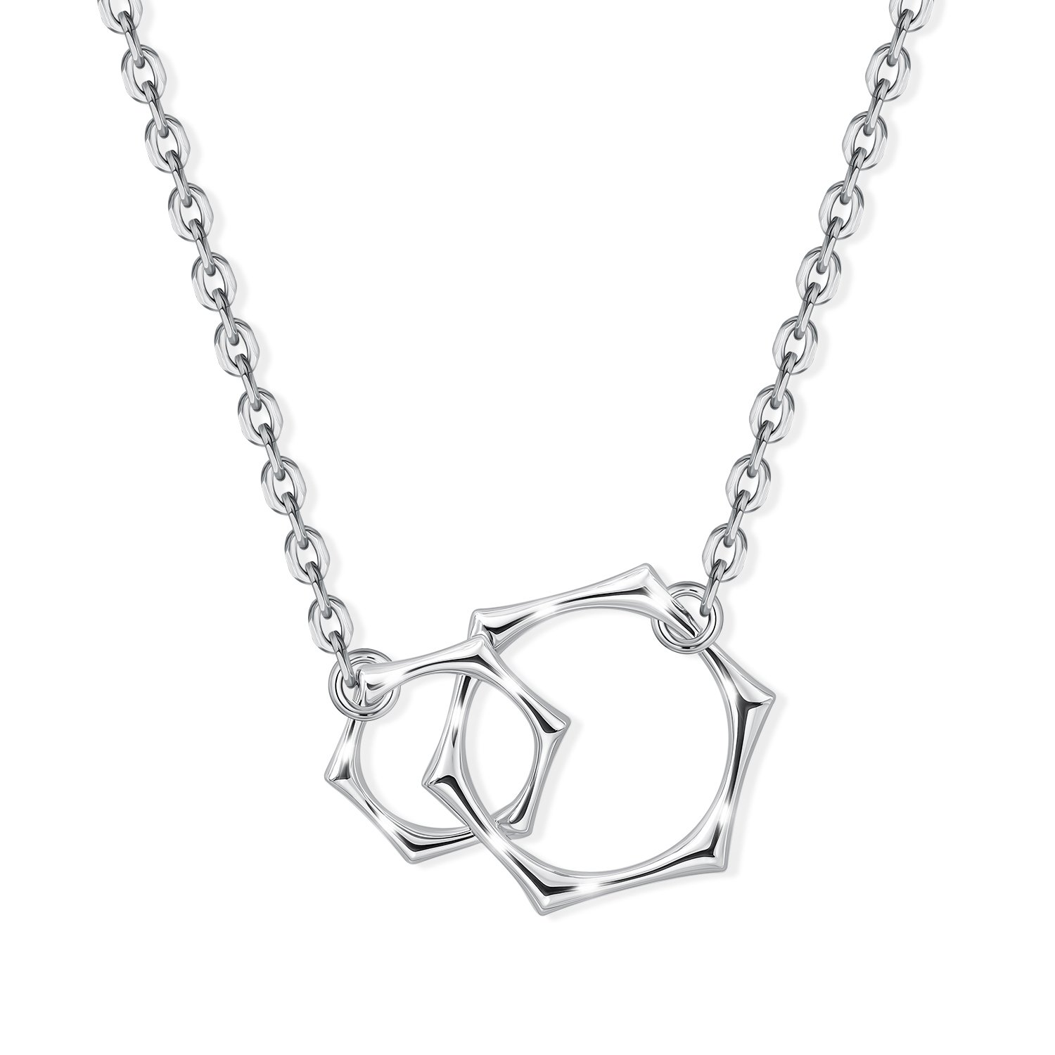 Фото «Серебряное колье»