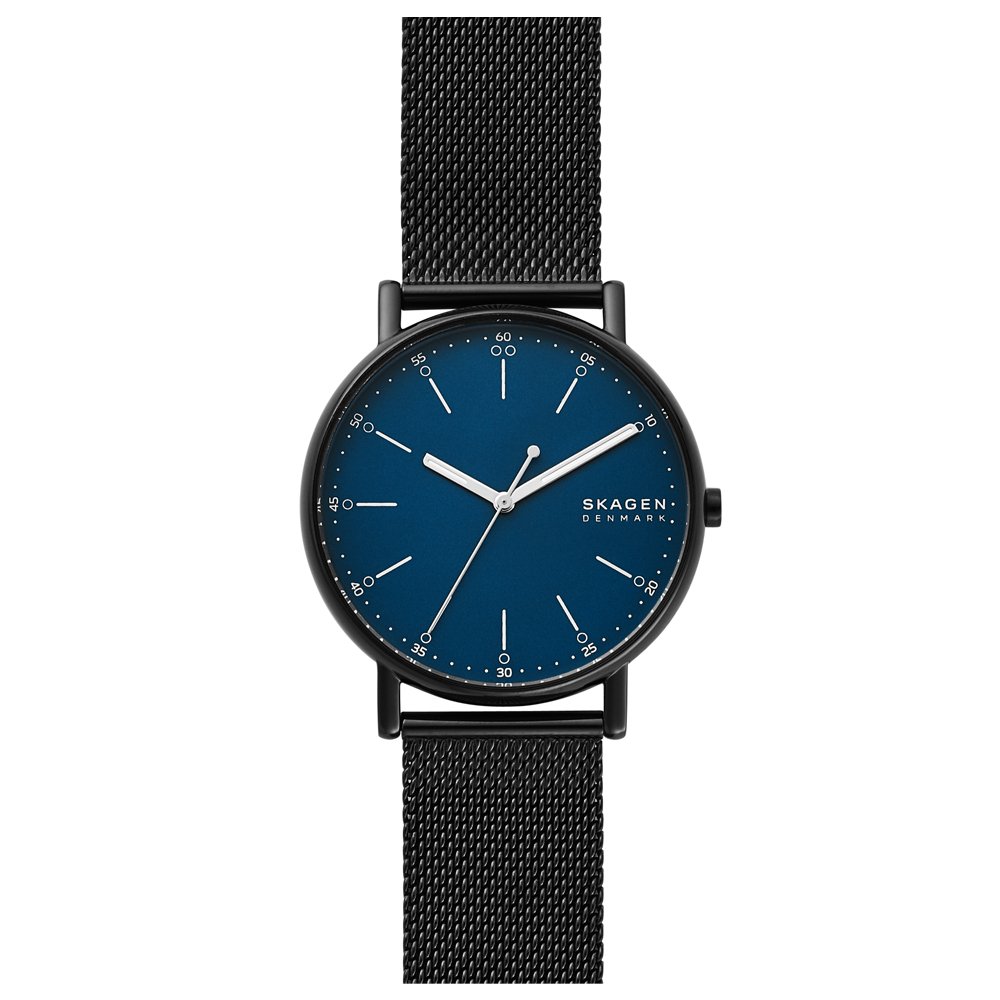 Фото «Часы SKAGEN SKW6655»