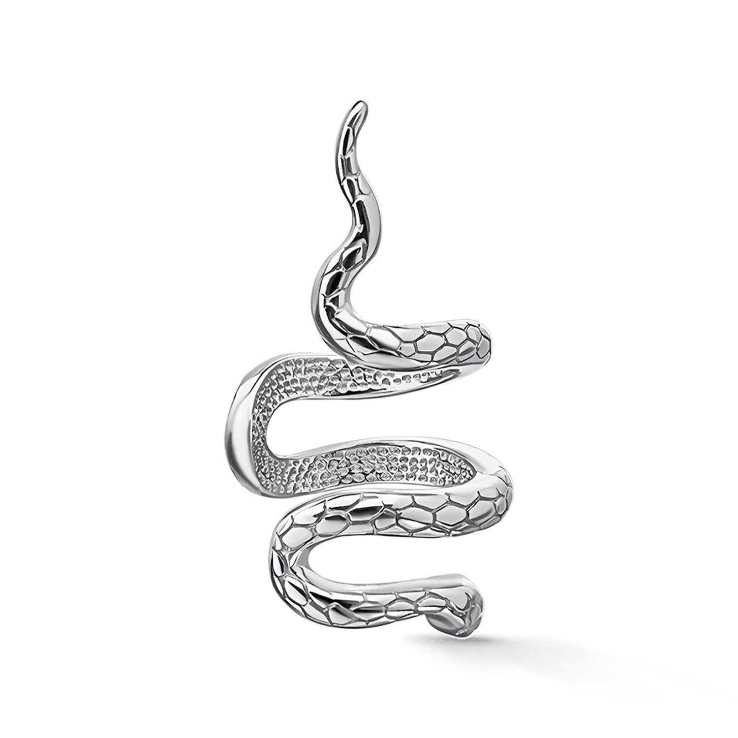 Фото «Серебряная серьга»