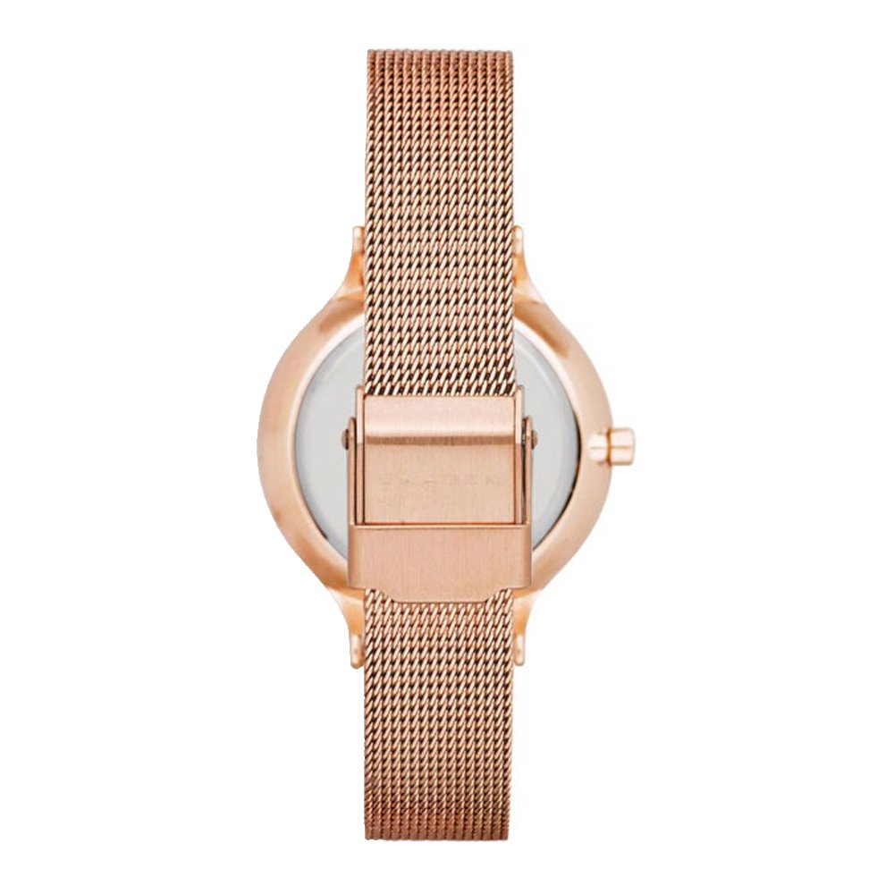 Часы SKAGEN SKW2151